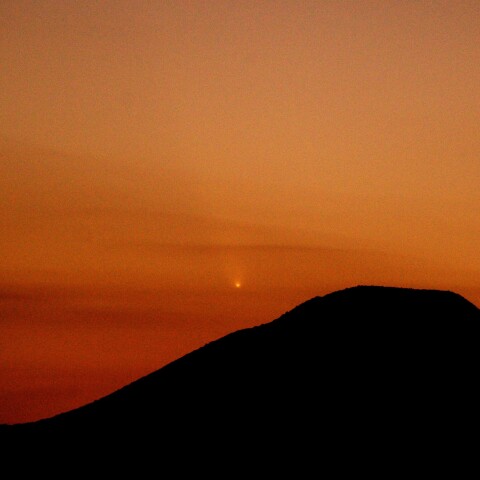 10月12日紫金山アトラス彗星