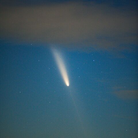 アンチテイルが伸びた紫金山アトラス彗星