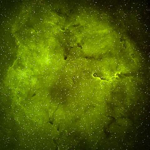 IC1396  像の鼻星雲