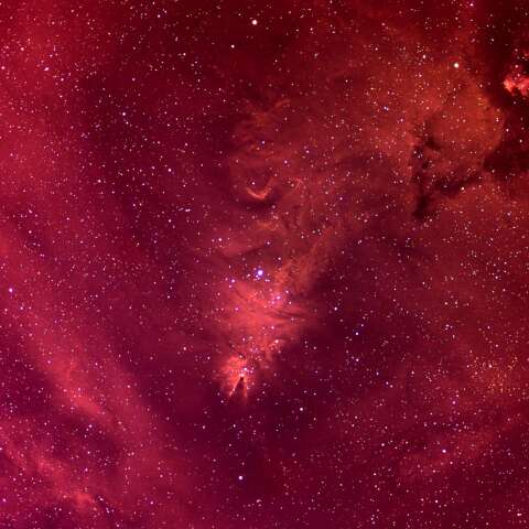 NGC2264  コーン星雲:・クリスマスツリー星団