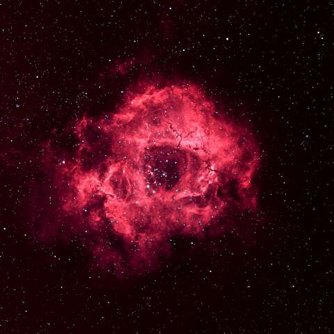 NGC2237　バラ星雲