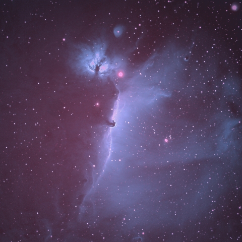 IC434　馬頭星雲　