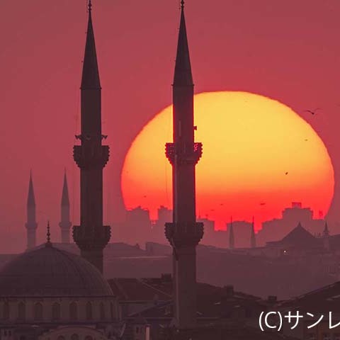 年に2度の楽しみ