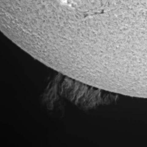 プロミネンス6/6