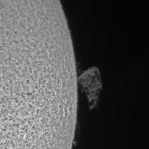 プロミネンス6/6