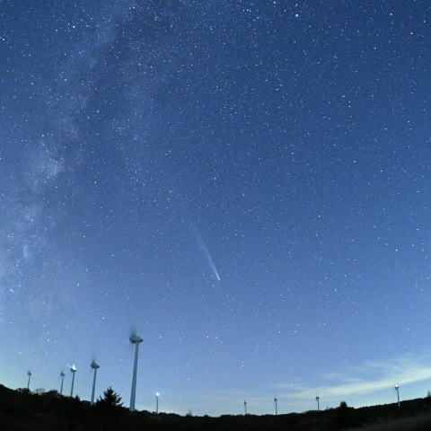 紫金山・アトラス彗星