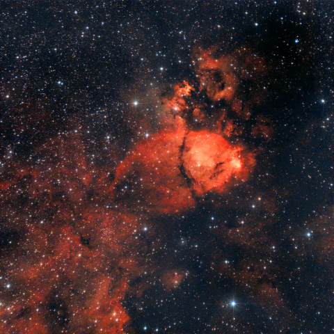 フィッシュヘッド星雲