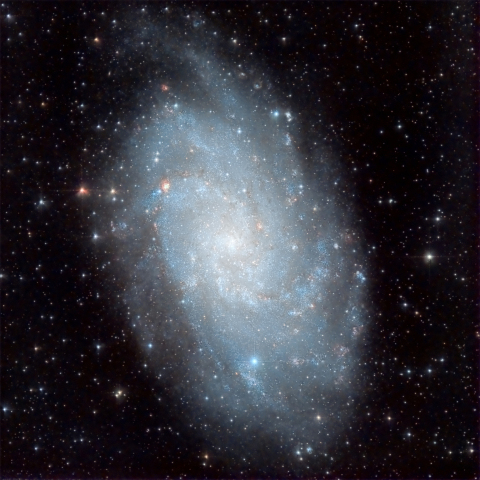 M33