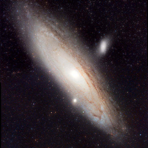 M31