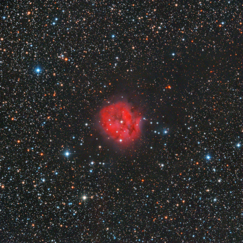 IC5146 コクーン星雲