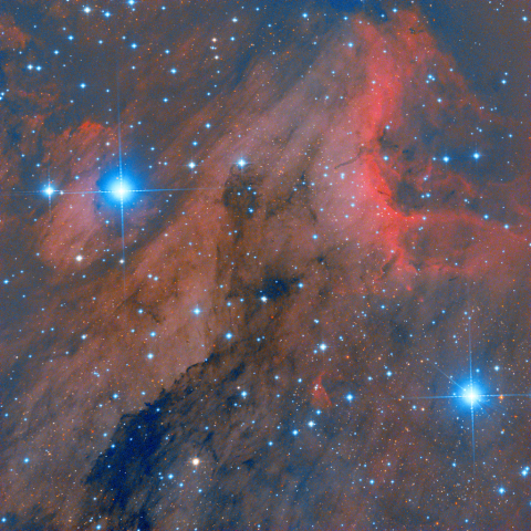 IC5070 ペリカン星雲