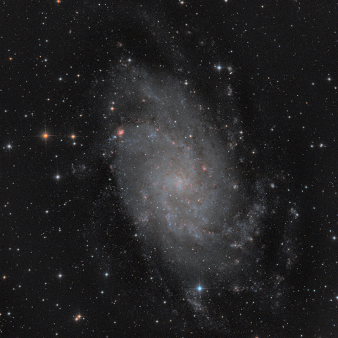 M33