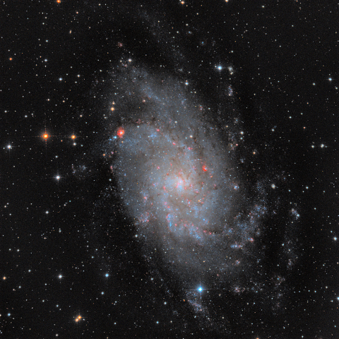 M33
