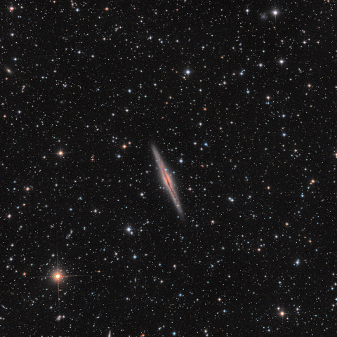 NGC891