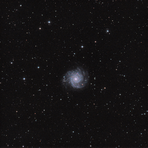 M74