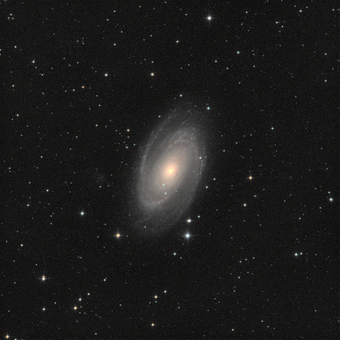M81