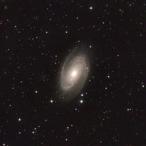 M81