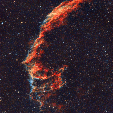 NGC6995