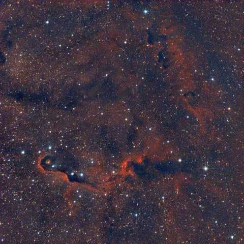 IC1396