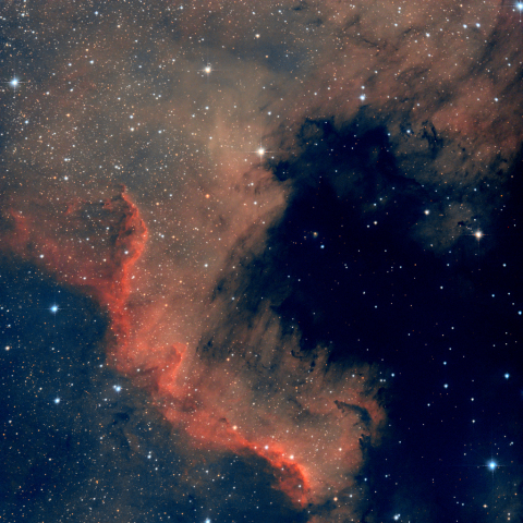 NGC7000