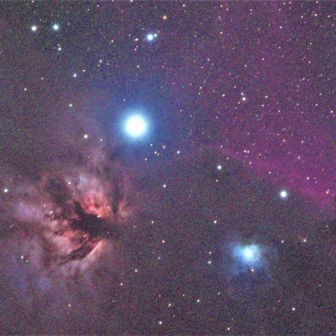 段戸山牧場の馬頭星雲