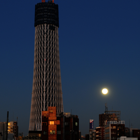 新タワーと満月