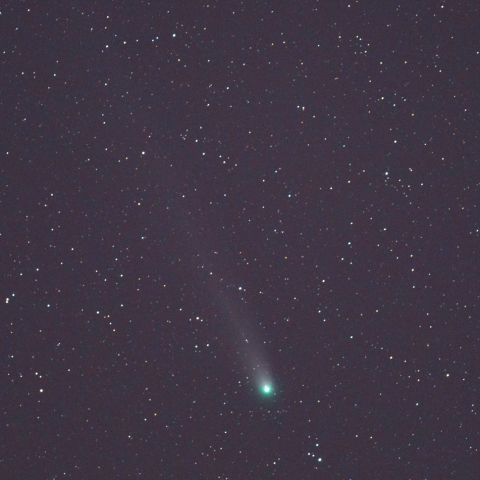 ラブジョイ彗星