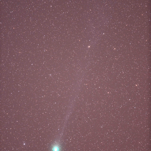 ラヴジョイ彗星