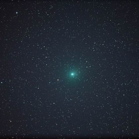 ウィルタネン彗星