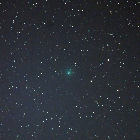 岩本彗星　C/2018Y1