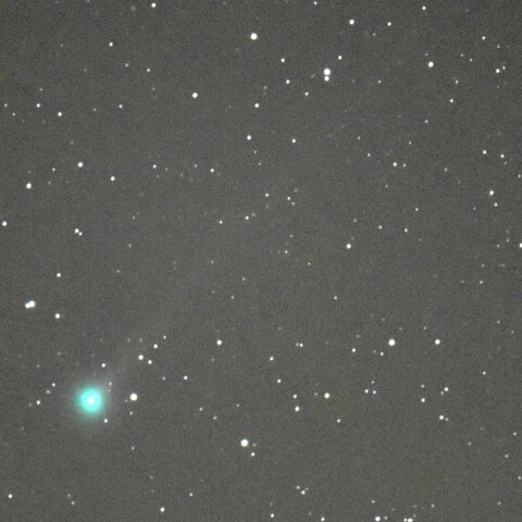 エラスムス彗星