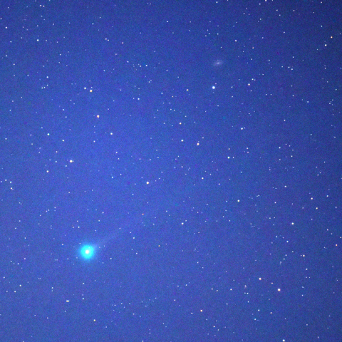 エラスムス彗星