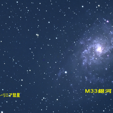 156Pラッセル・リニア彗星とM33銀河の接近