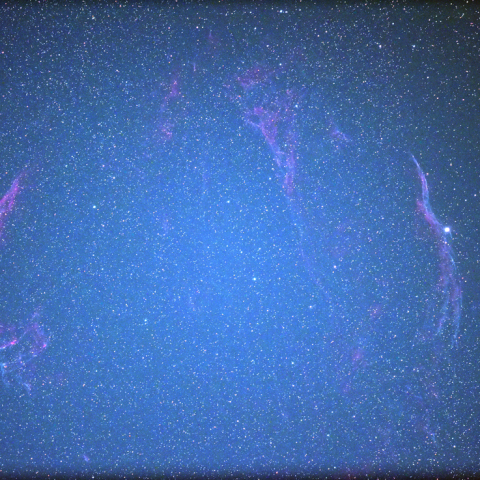 はくちょう座　網状星雲　全景