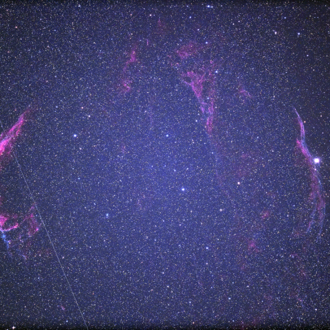 はくちょう座　網状星雲　全景リベンジ