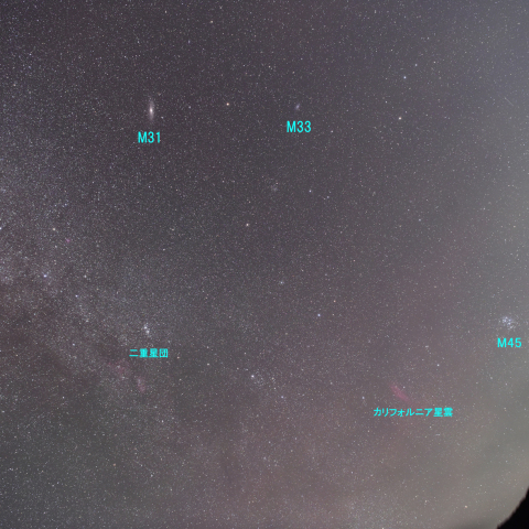 昇る秋の主役達