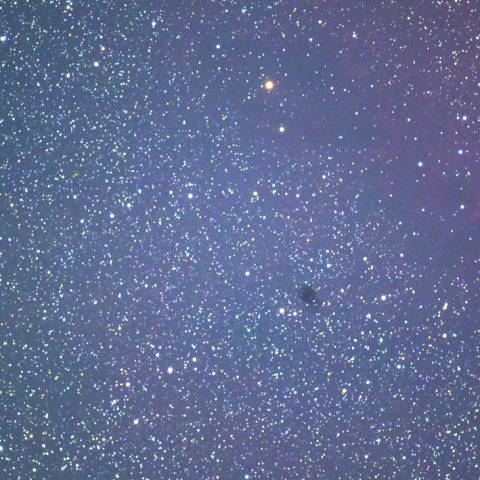 フェイ彗星(4P)と クリスマスツリー星団(NGC2264)の接近