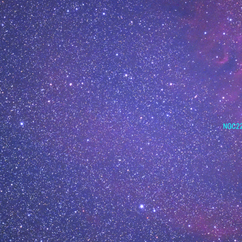 フェイ彗星(4P)と クリスマスツリー星団(NGC2264)の接近（リベンジ）