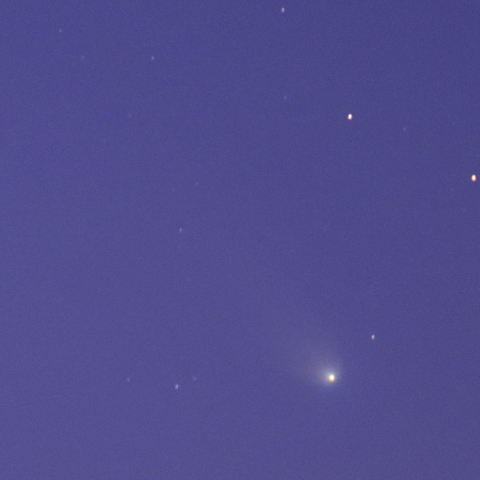 レナード彗星（１２／１９夕刻）