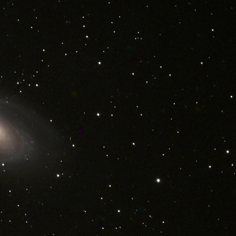 おおくま座 M81・M82銀河