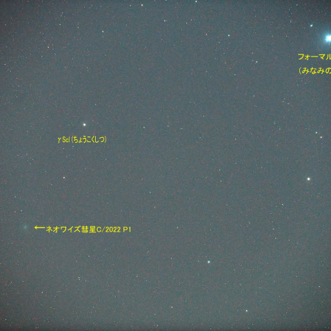 ネオワイズ彗星C/2022 P1