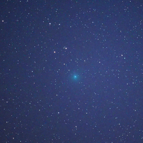 ネオワイズ彗星C/2022 P1