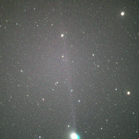 C/2022 E3 ズィーティーエフ 彗星のイオンテイル