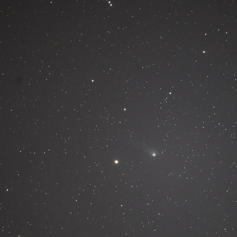 C/2020 V2  ZTF彗星