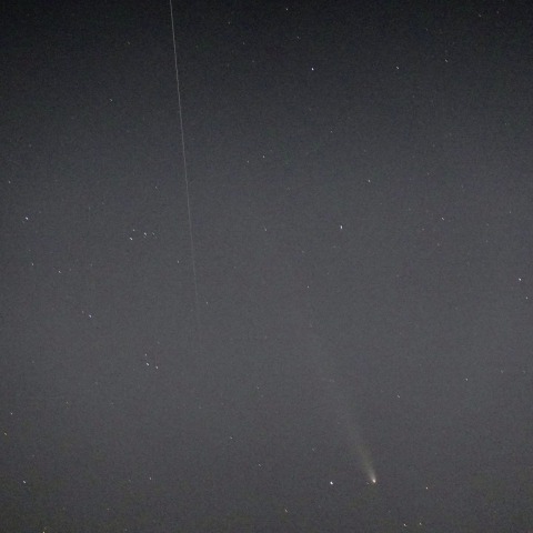 紫金山・アトラス彗星(2024.10.20)