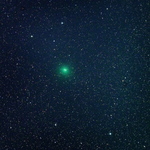 11月11日のレモン彗星（C/2023 H2）