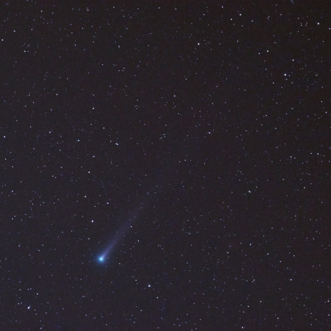 12月7日朝のレナード彗星（C 2021A1）