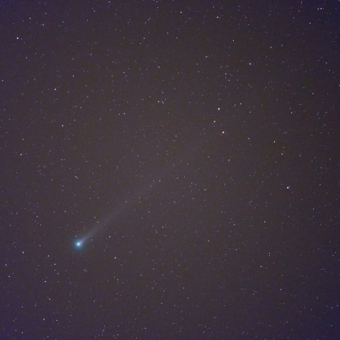 12月9日朝のレナード彗星（C 2021A1）