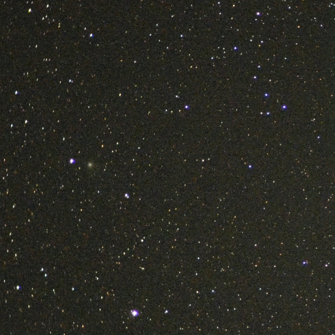 1月11日のZTF彗星（C/2020 V2)