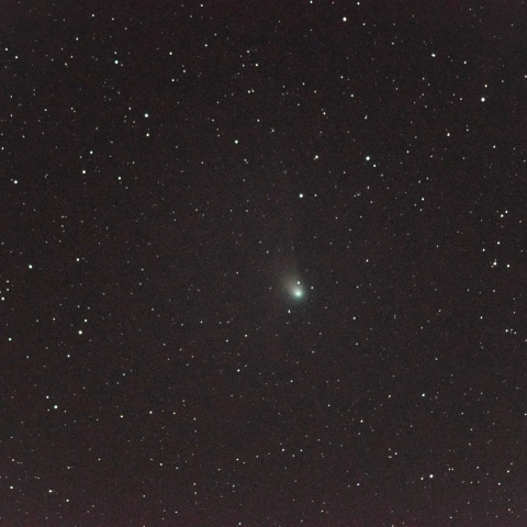 1月17日のZTF（C/2022 E3）彗星